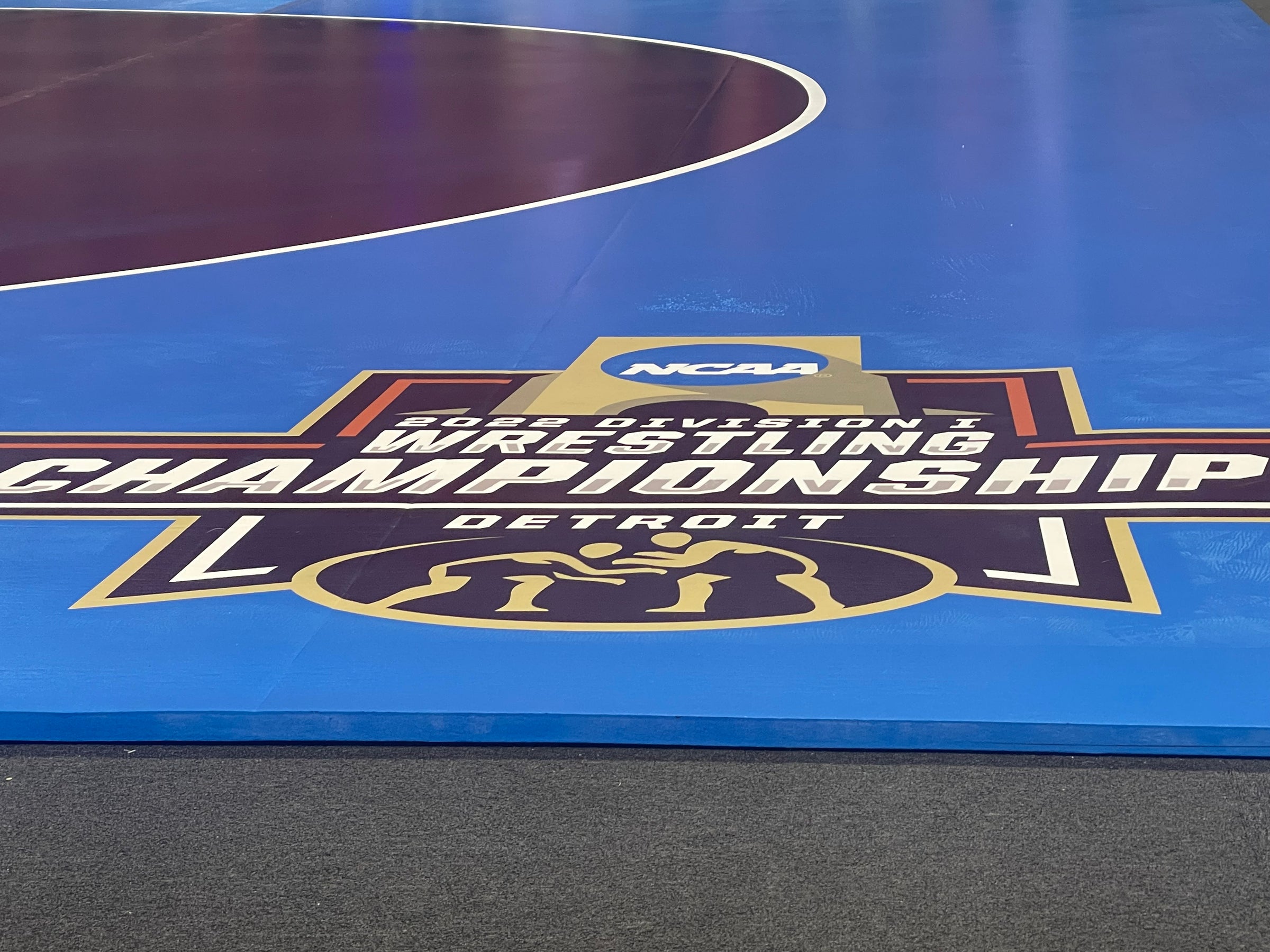 Resilite Wrestling Mats - Two-Sided Wrestling Mats, Roll-Up Wrestling Mats