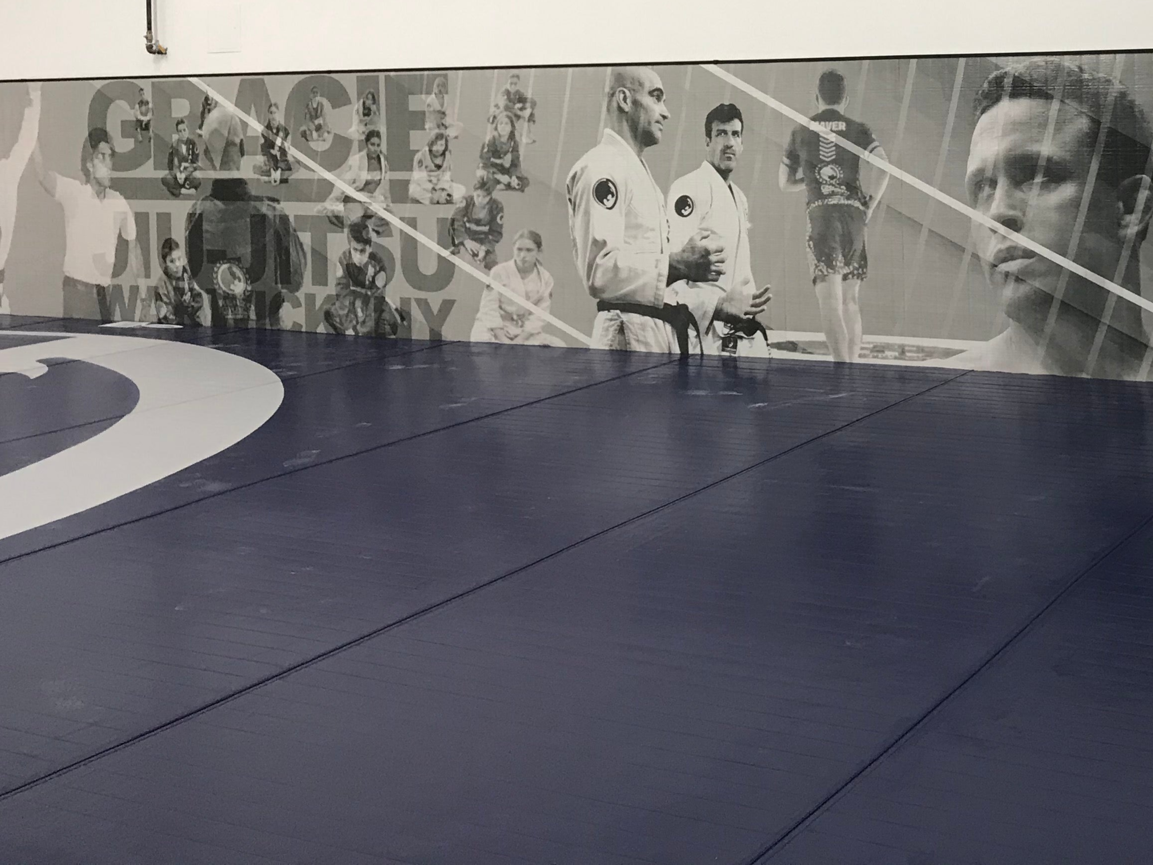 BJJ Resilite Mats 